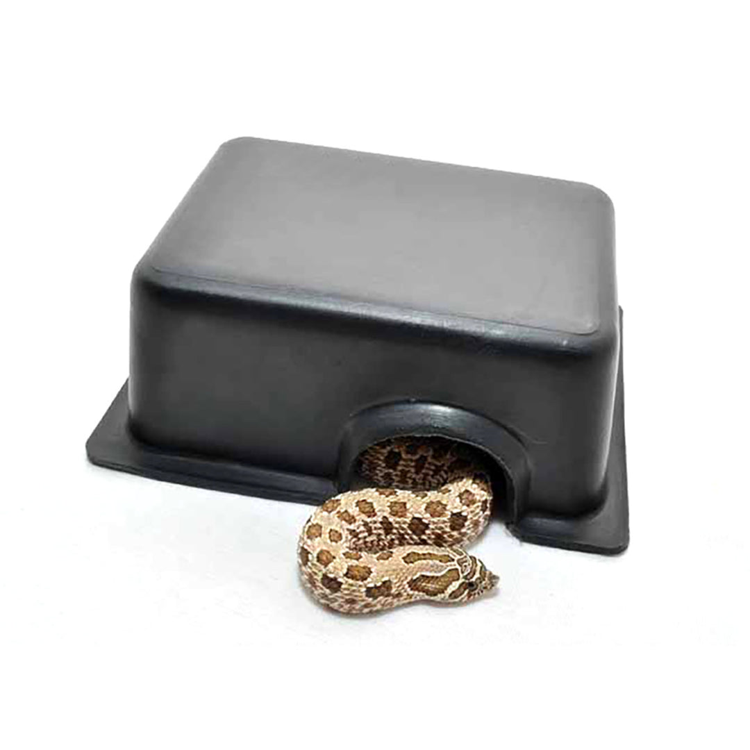 Plastic Hide
