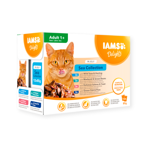 IAMS Nassfutter für ausgewachsene Katzen mit unterschiedlichen Fischaromen – Meereskollektion in Gelee (Adult 1+)