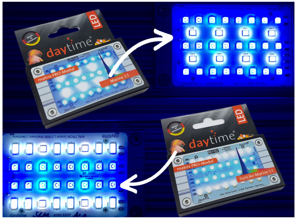 pendix Marine Komplett-Sets