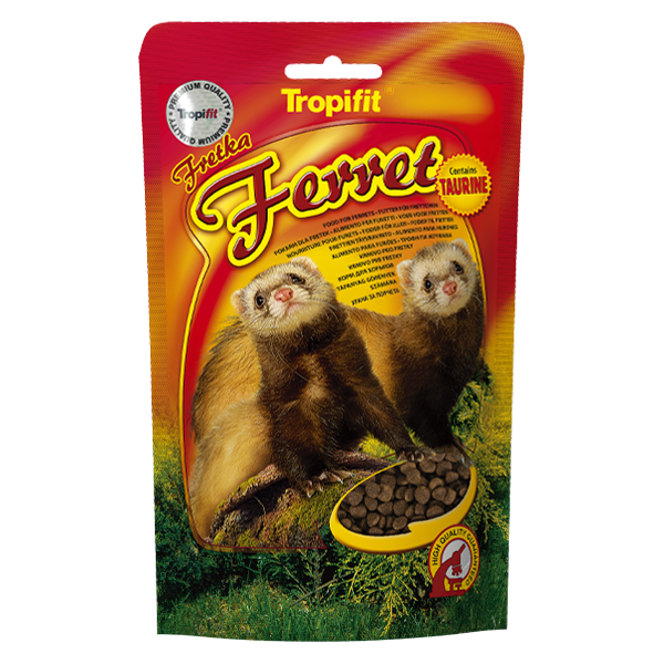 Ferret