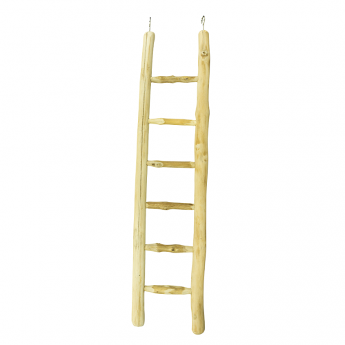 Java Leiter 60 cm – Natürliche Kletterleiter für Vögel