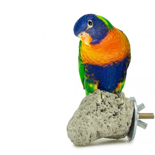 Lavastein für Vogelkäfig zur Pflege von Schnabel und Krallen