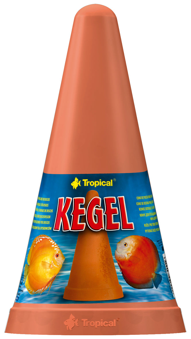 Laichkegel