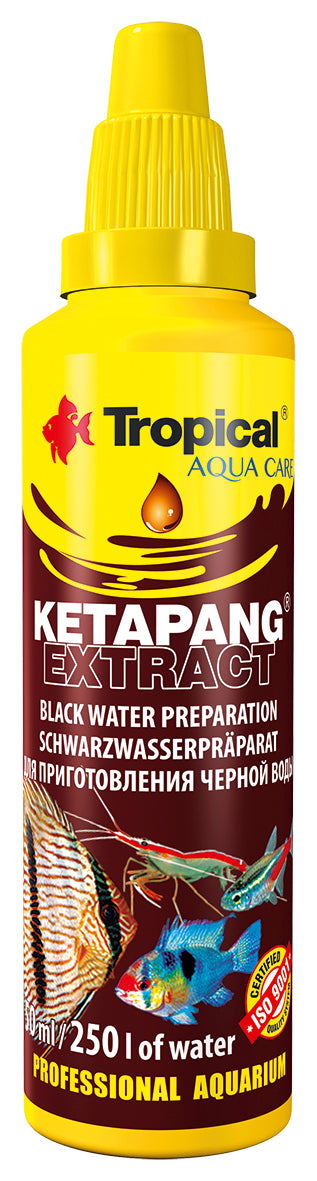 Ketapang Extract
