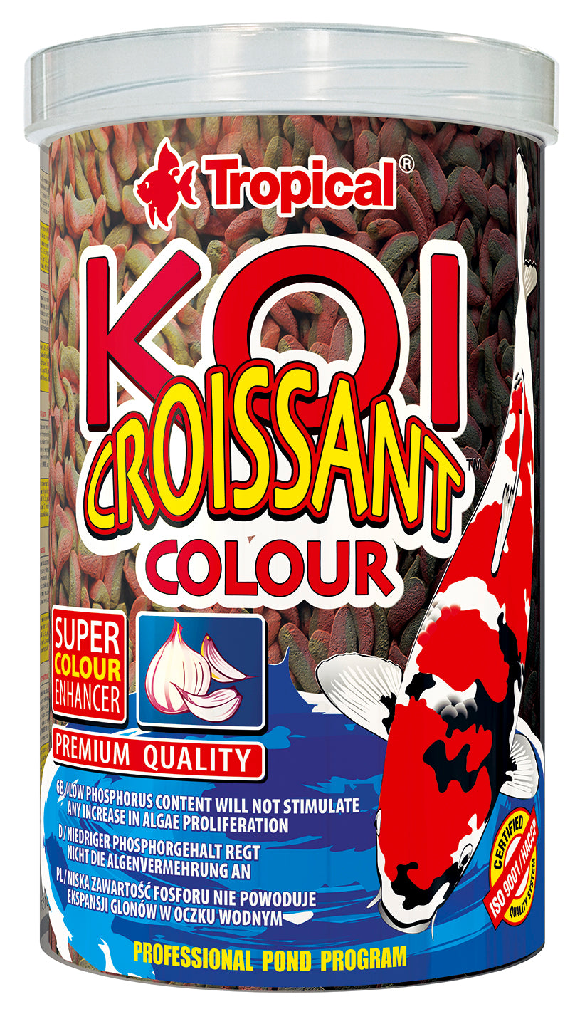 Koi Croissant Colour
