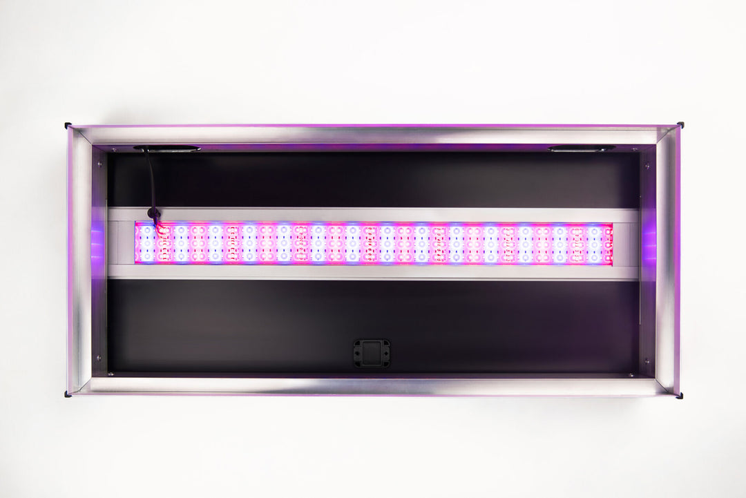 LED Alex Color
