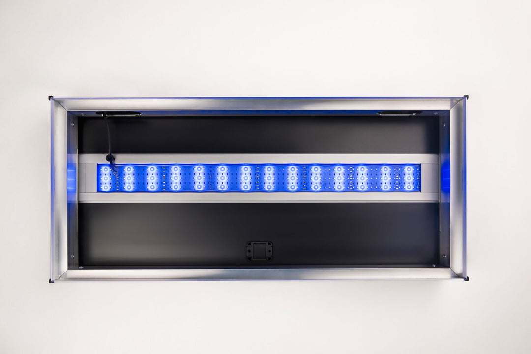 LED Alex Color