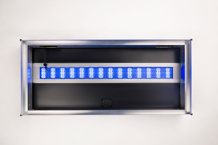 LED Alex Color
