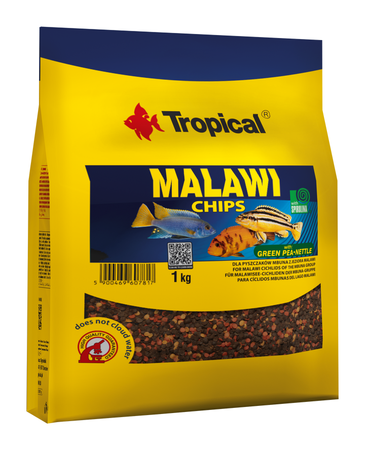 Malawi Chips