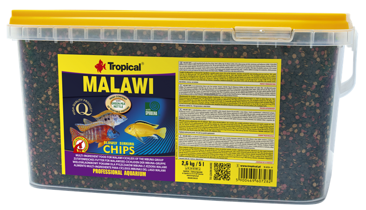 Malawi Chips