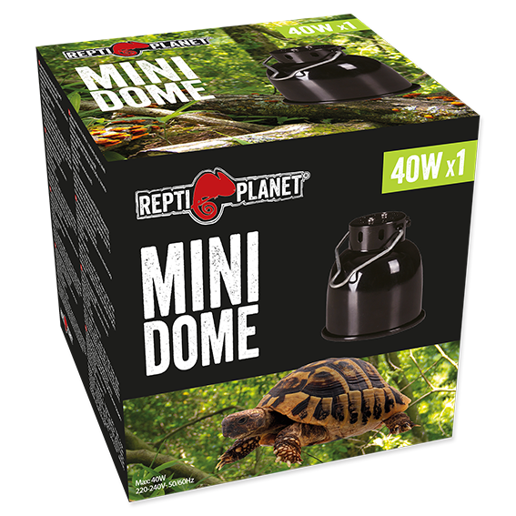 Mini Dome