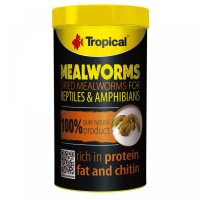 Mealworms von Tropical