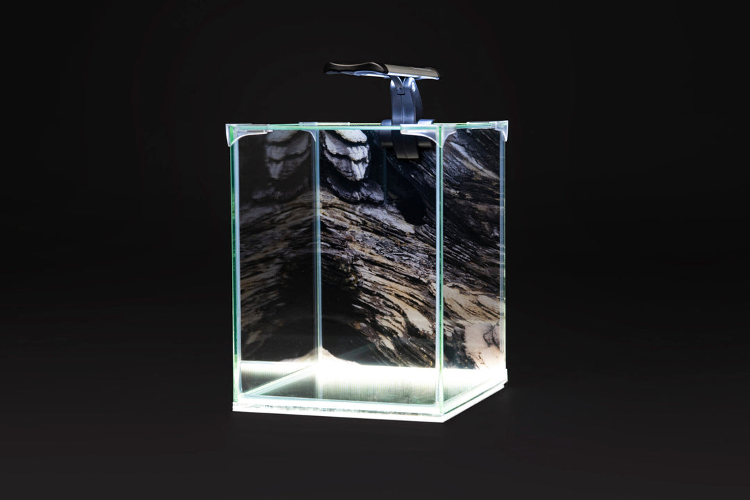 NEOlight