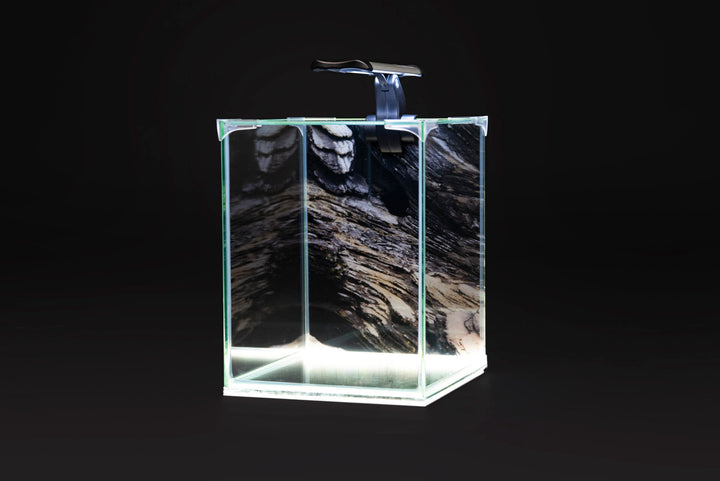 NEOlight