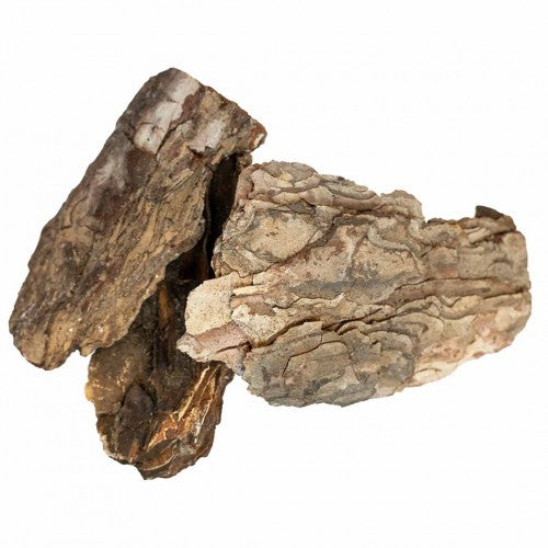 Pine Tree Bark – Natürliche Kiefernrinde für Beschäftigung & Foraging