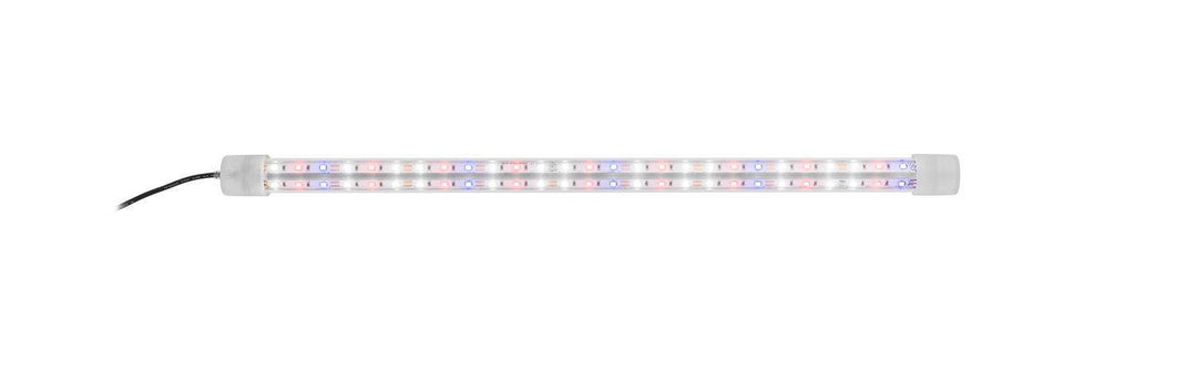 LED Expert Color