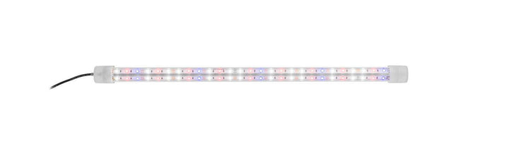 LED Expert Color