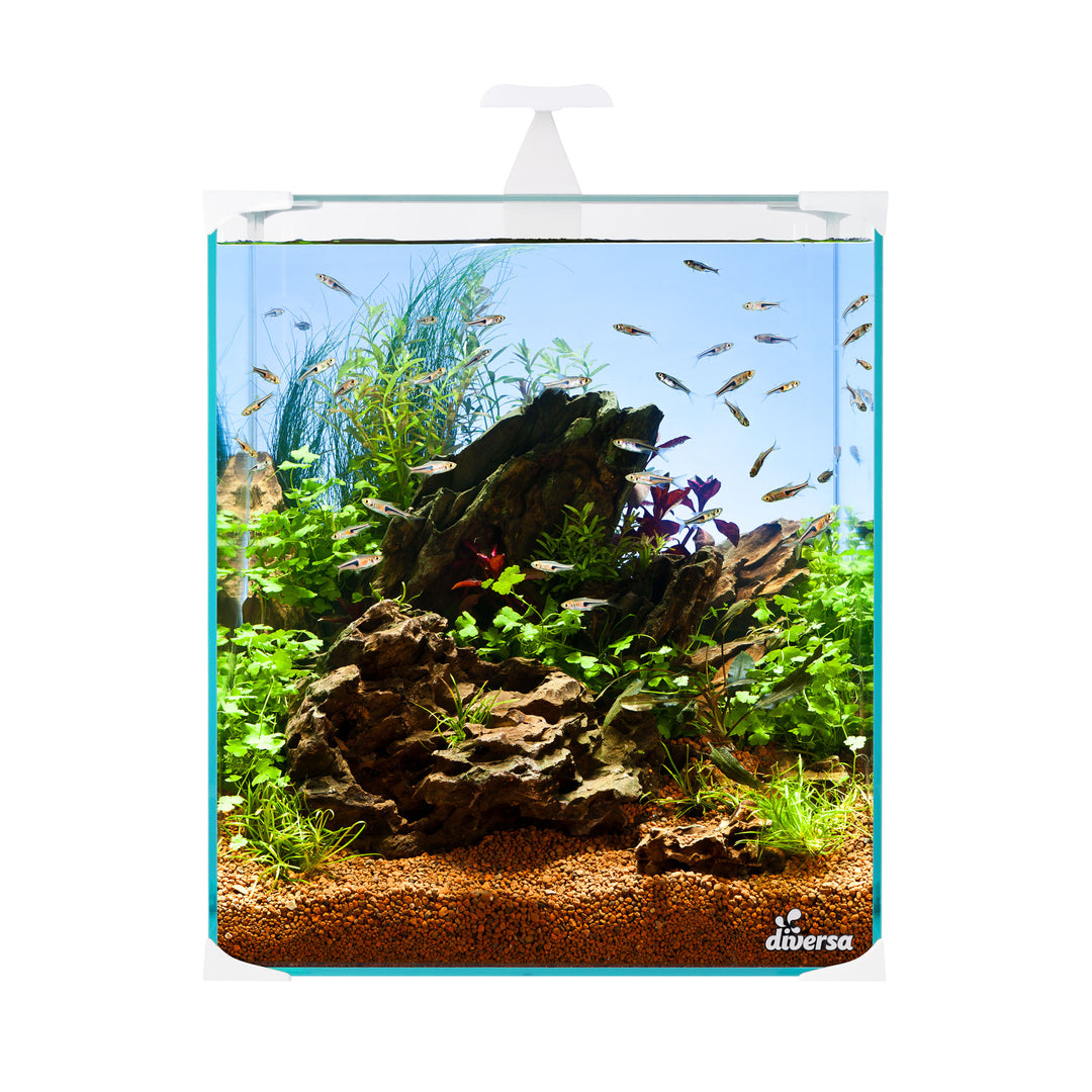nanoLED Set