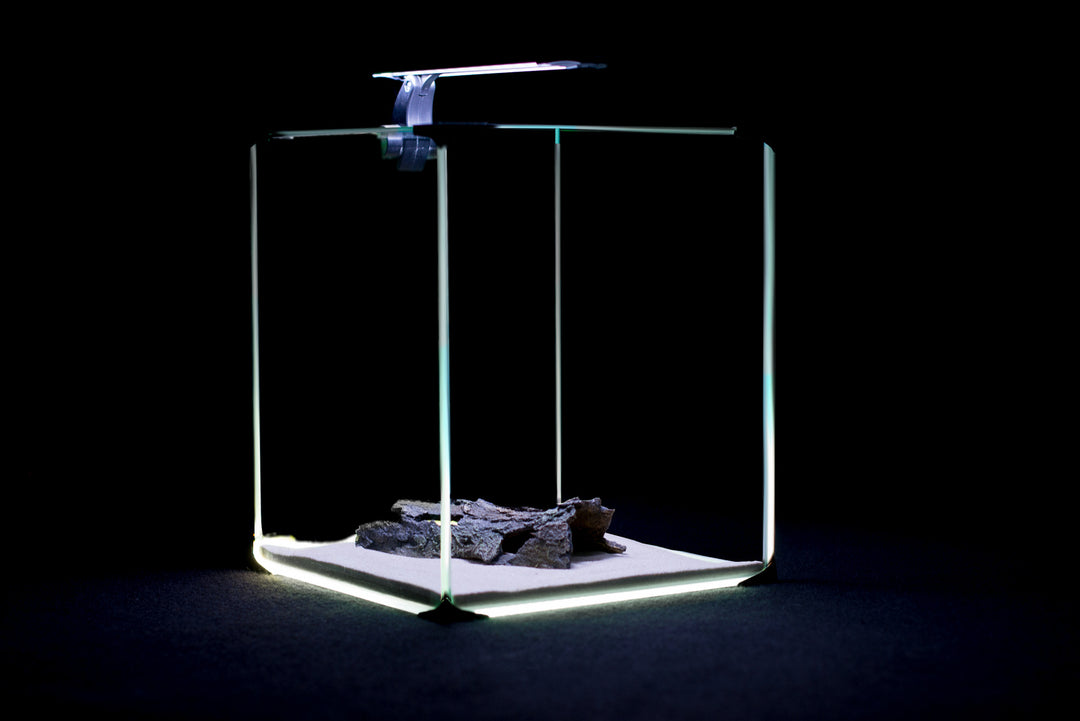 NEOlight