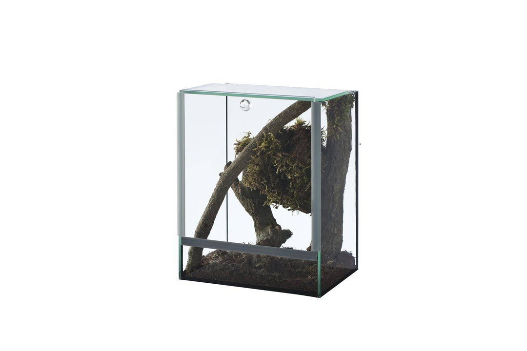 Terrarium SPIDER -alte Version-