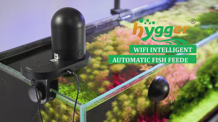 Smarter Futterautomat für Aquarium mit Kamera - Hygger