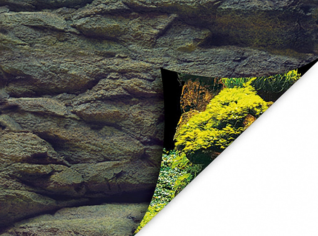 Posterrückwand Rock/Plants