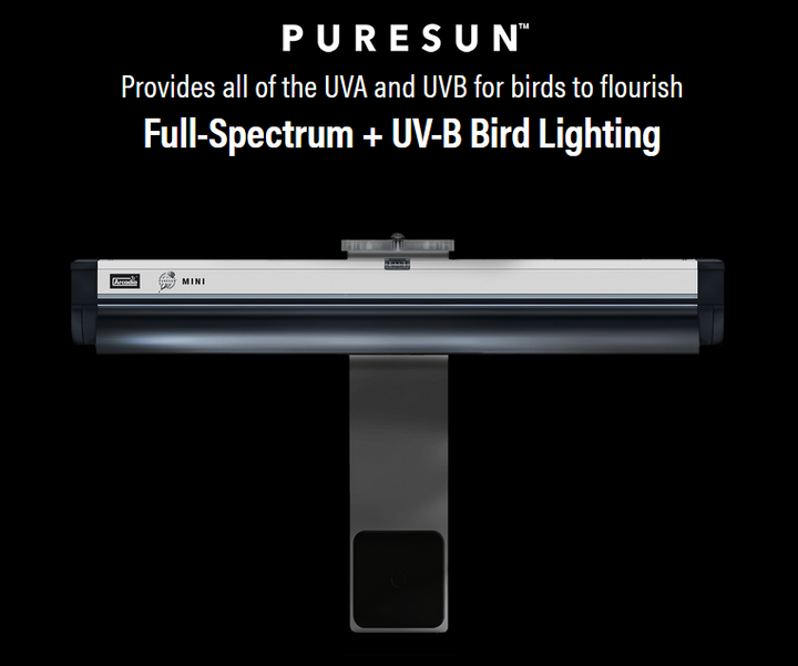 PureSun Mini Bird Lighting Kit 2,4% UV-B Kit 8W