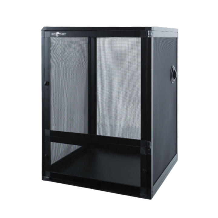 Screen Terrarium