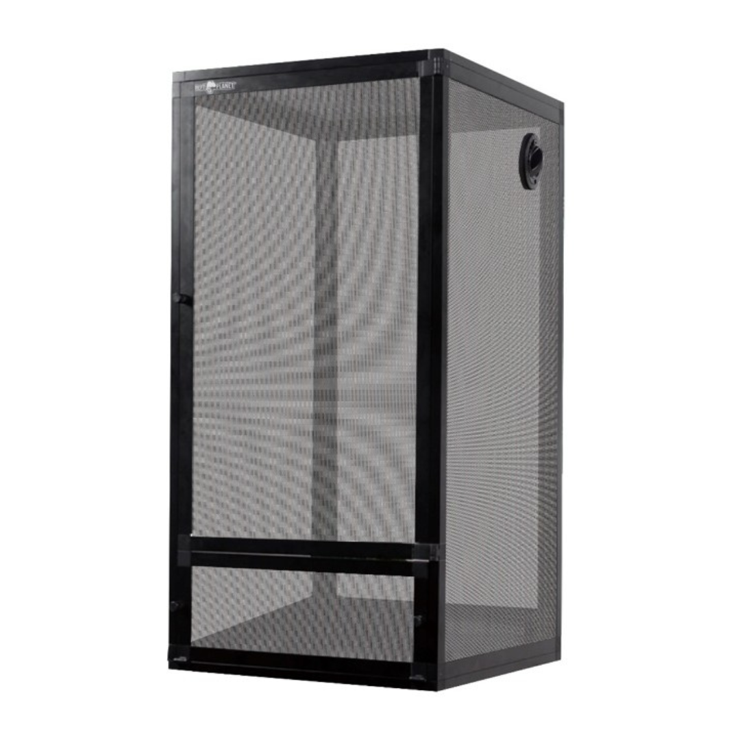 Screen Terrarium