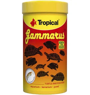 Gammarus von Tropical