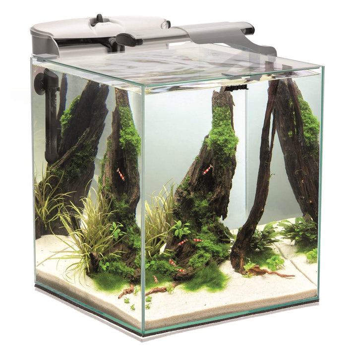 Fish & Shrimp Set Duo 35 Aquarium