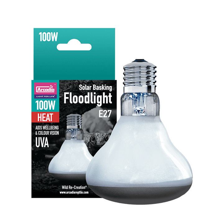 Solar Basking Floodlight