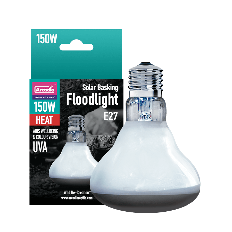 Solar Basking Floodlight