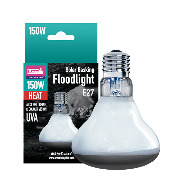 Solar Basking Floodlight