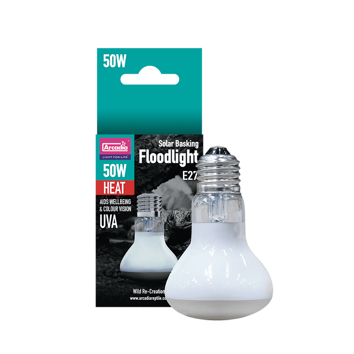 Solar Basking Floodlight