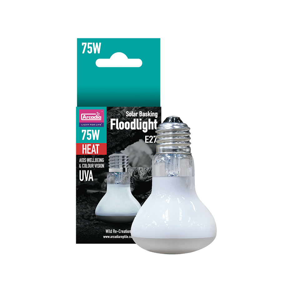 Solar Basking Floodlight