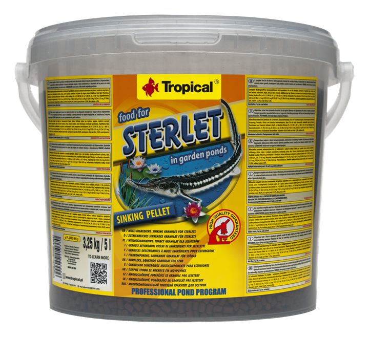 Sterlet