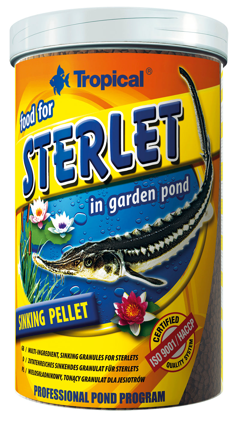 Sterlet