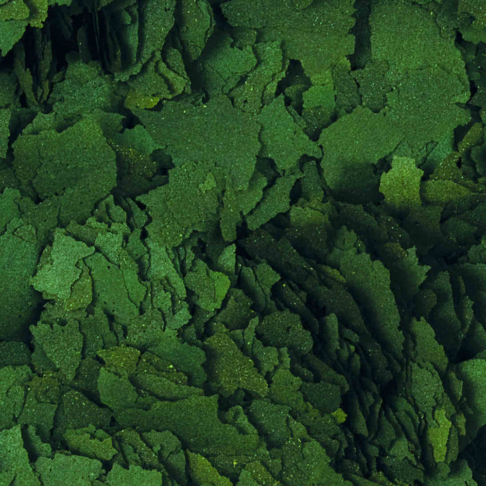 Super Spirulina Forte Flakes