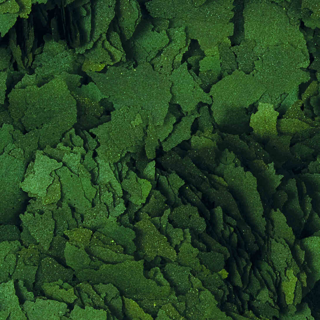 Super Spirulina Forte Flakes