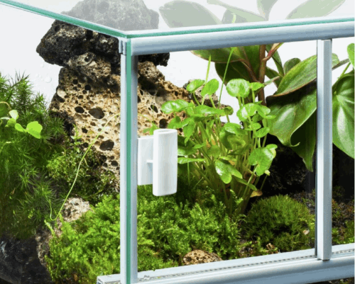 Terrarium