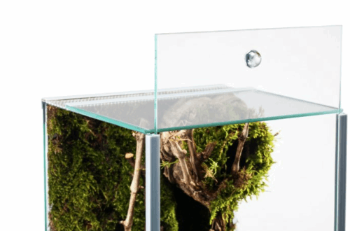 Terrarium SPIDER -alte Version-