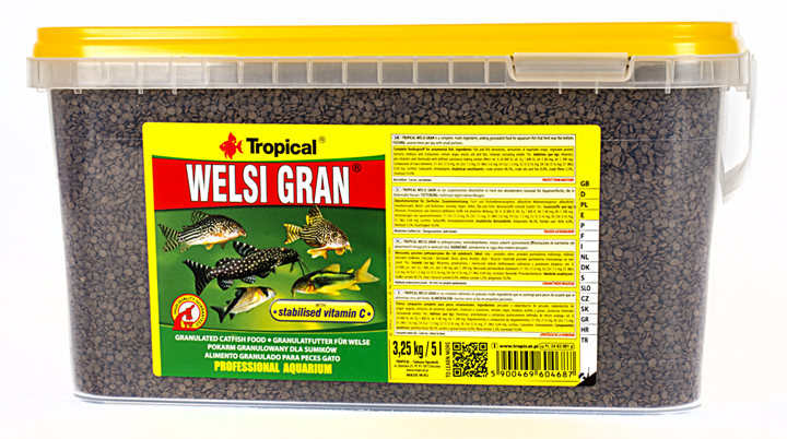 Welsi Gran
