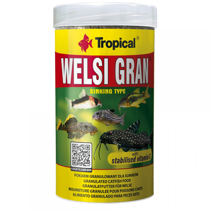 Welsi Gran