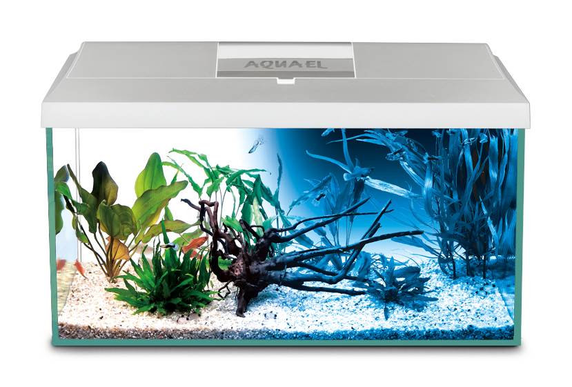 Leddy Day&Night Aquarium Set