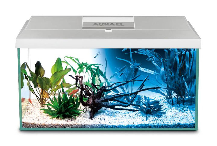 Leddy Day&Night Aquarium Set