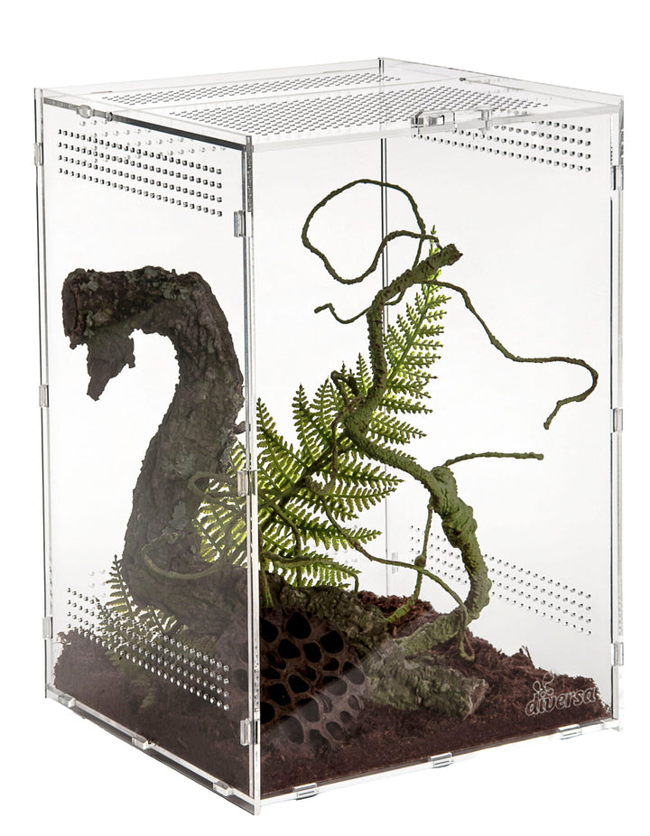 Terrarium - Acryl Terrarium