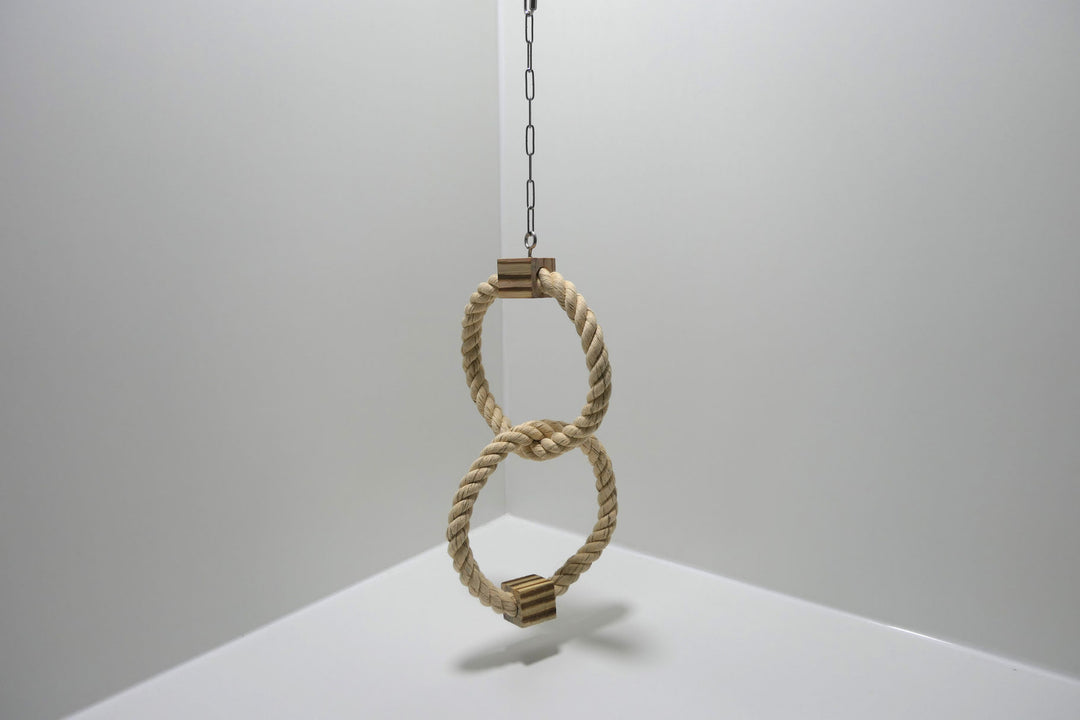 Doppelter Kletterring mit Holzwürfel für Vögel