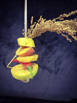 Edelstahl Fruchtspieß mit Kettenglied für Voliere und Vogelkäfig