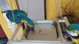 Freischwingende Edelstahlwanne 354×325 mm mit Edelstahlkette